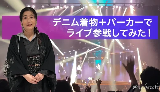 デニム着物にパーカーを合わせてライブ参戦したときのコーデと会場の様子