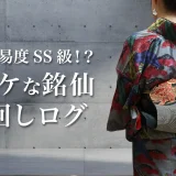 攻略難易度SS級！？サイケな銘仙着回しログ。コンクリート打ちっぱなしの壁を背景に、カラフルな銘仙着物と黒地の唐獅子帯を締めた女性の後ろ姿。